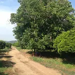 Le Terre Di Zoe' Limbadi