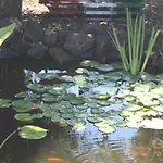 Le Terre Di Zoe' Vakantieboerderij
