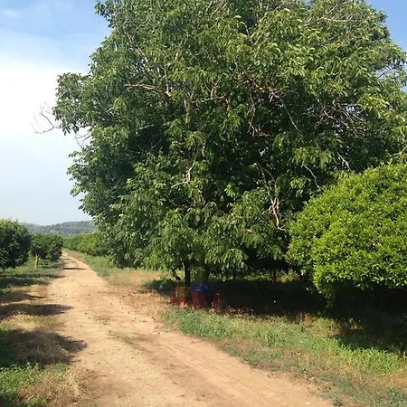 Agriturismo Le Terre Di Zoe' Limbadi