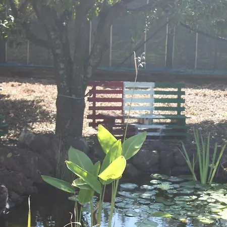 Le Terre Di Zoe' Lantgård Limbadi