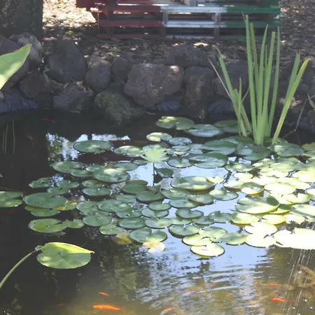 Le Terre Di Zoe' Lantgård