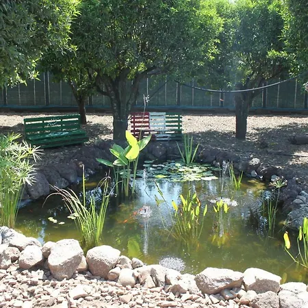 Farm stay Agriturismo Le Terre Di Zoe' Limbadi