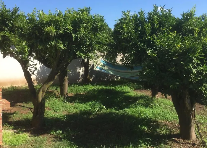 农家乐 Le Terre Di Zoe' Limbadi