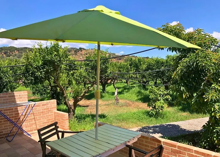 Le Terre Di Zoe' 农家乐