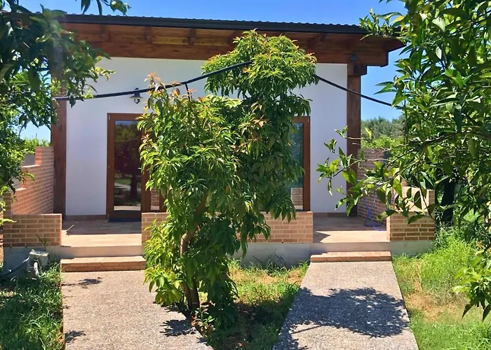 Le Terre Di Zoe' Limbadi