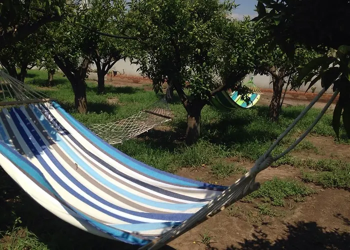 农家乐 Le Terre Di Zoe' Limbadi