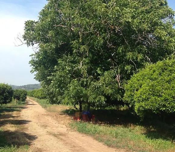 Le Terre Di Zoe' Limbadi