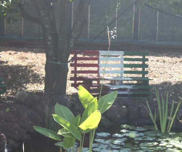 Le Terre Di Zoe' 农家乐 Limbadi