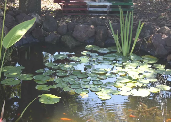 Le Terre Di Zoe' 农家乐