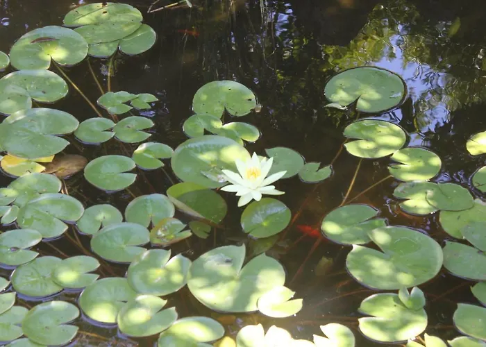 Le Terre Di Zoe' 农家乐 Limbadi