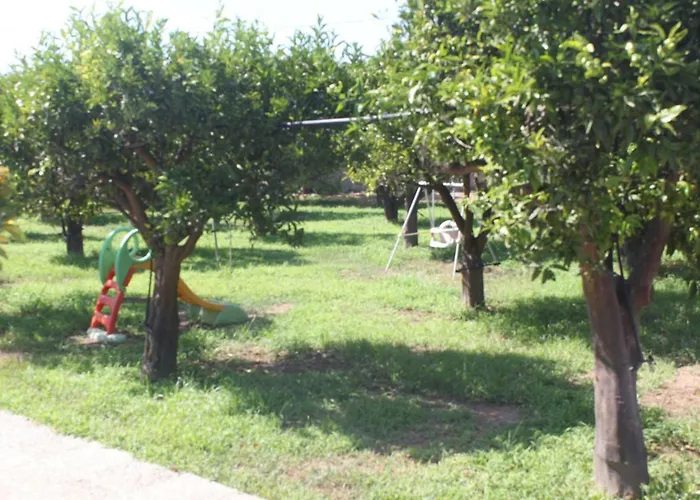 Le Terre Di Zoe' 农家乐